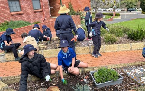 Tree Planting